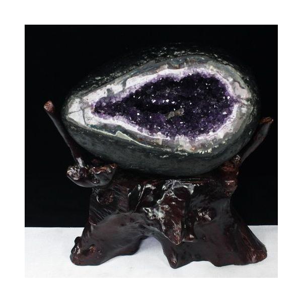 \i 3̔\ty5.4Kg EOACY  T[NWI[h AWXgh[ p[Xg[ VR t659-809