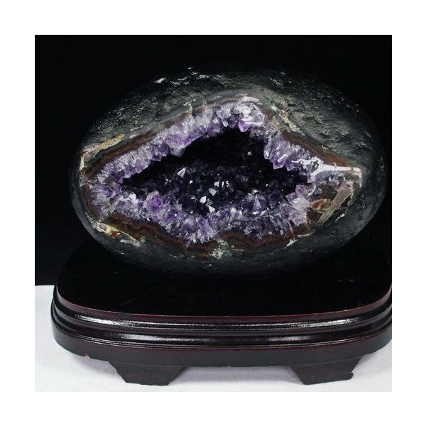 \i 3̔\ty5.7Kg EOACY  T[NWI[h AWXgh[ p[Xg[ VR t659-814