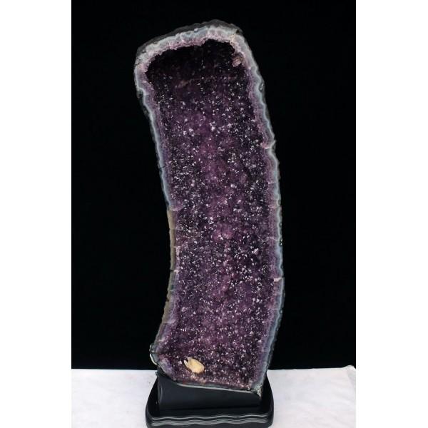 \i 3̔\ty38Kg uWY AWXgh[ (i) s p[Xg[ VR t659-867