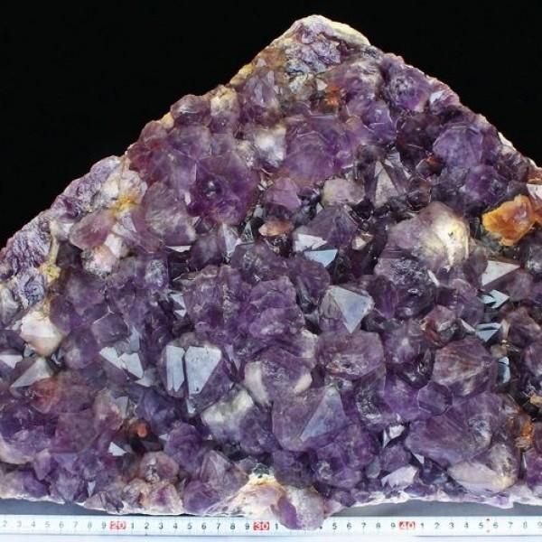 43.6Kg uWY AWXgNX^[(i) p[Xg[ VR [iki t768-661