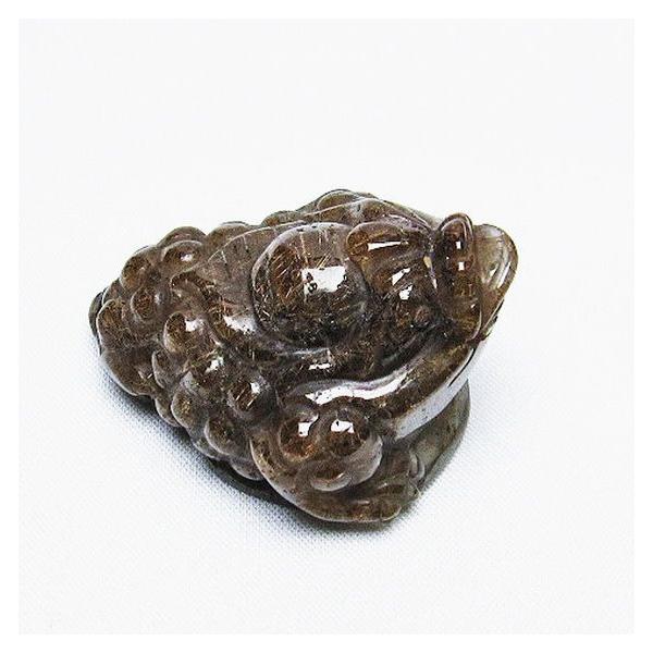 ���`���N�H�[�c�i���j���`�������j ���  �u�� t801-501