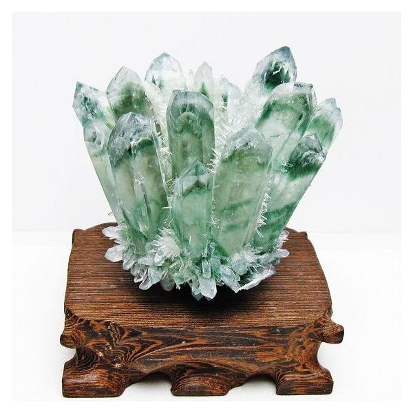 グリーン様•*¨*•.¸♬︎ CONVERSE ALL STAR (R) DAISYFLOWER HI GREEN コンバース