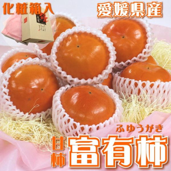 Mtg xL` 2.5kg QY ϔ@Ê`