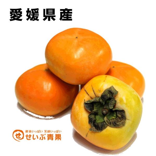 ` 󂠂 ` Ƃˊ` 4kg 햳 QY a ˂Ȃ`@