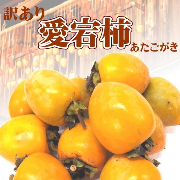 `p a`/󂠂 QY ` 10g kCEʓr1000~