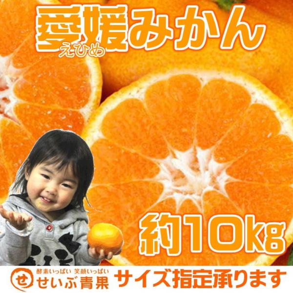 Q݂ 10kg @kCEꑗʓr1000~