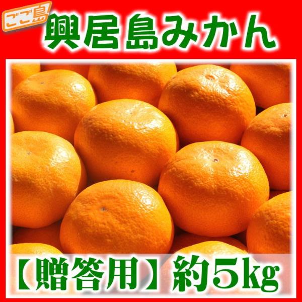 p ݂ 5kg Gi QY p Mtg Ε