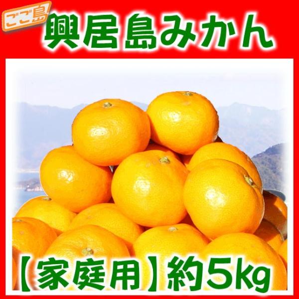 ƒp ݂ 5kg/QY ~J @kCEʓr1000~