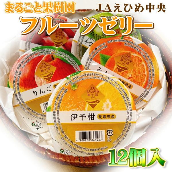 ܂邲Ɖʎ t[c[[ 120g×12 Mtg Y ʕ  