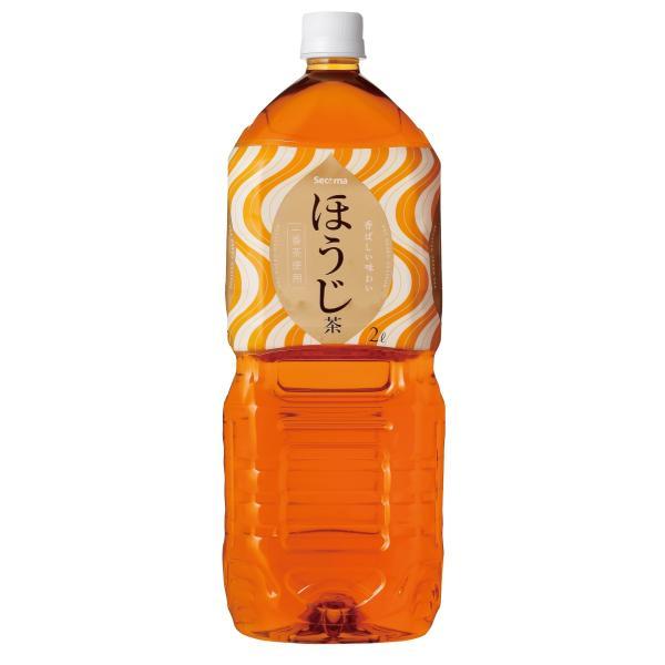 お茶　2セット➕25枚 さしま茶ペットボトル2ケース（350ml 24本入り×2ケース） ※着日