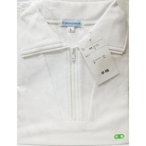 ̑  ʉi di  `bNt ^ Wbv̑ [֑Ή ԕis