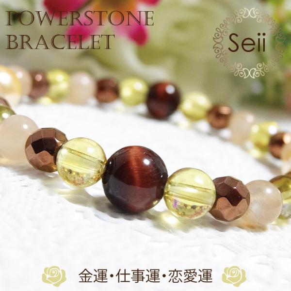 seii-shop_sps-br30 seii-shop_sps-br30