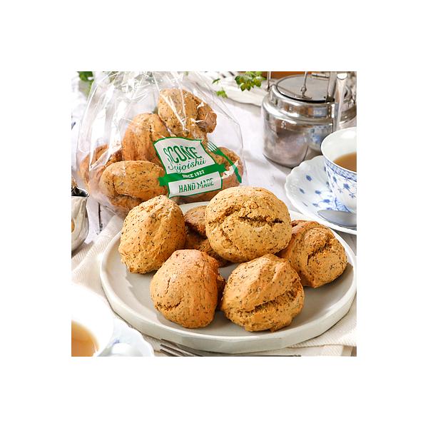 Έ䎩Ɛ Z~NeBXR[ 6 | D+2 / ܖF5