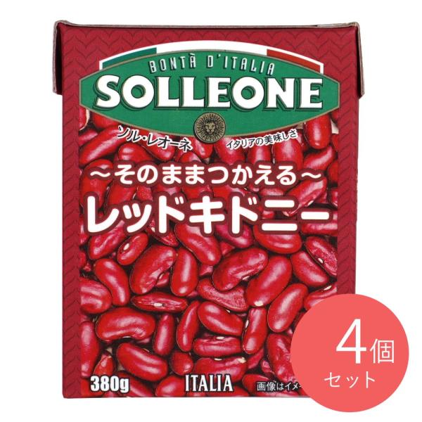 ソルレオーネ レッドキドニービーンズ 固形量230g×4個