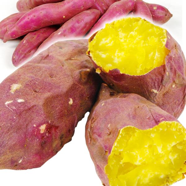 さつまいも 千葉産 ご家庭用 紅あずま 5kg 1組 国華園 F 食みらい 国華園 通販 Yahoo ショッピング