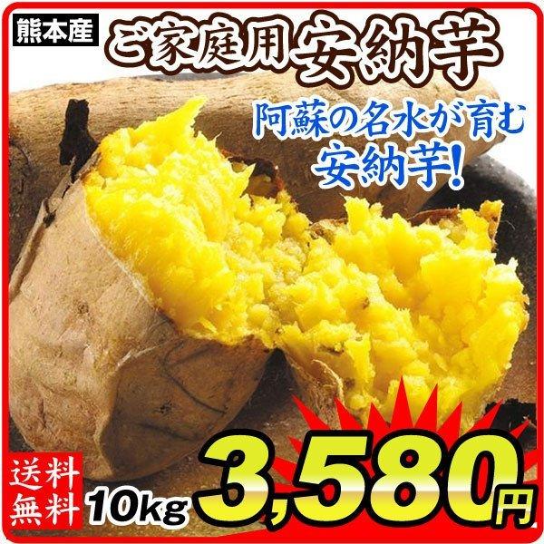 さつまいも 熊本産 ご家庭用 安納芋 10kg 送料無料 食品 F 食みらい 国華園 通販 Yahoo ショッピング