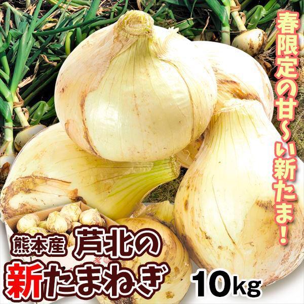 玉ねぎ 大特価 熊本産 芦北の新たまねぎ 10kg 送料無料 食品 F101 食みらい 国華園 通販 Yahoo ショッピング