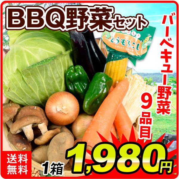 野菜セット 国産 バーベキュー野菜セット 9種1箱 送料無料 BBQ