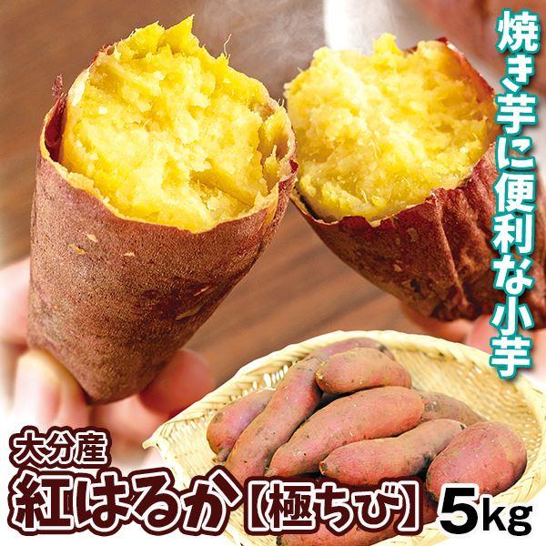 ●商品情報： “はるか”に美味い、しっとり極甘芋を、焼くのに便利な「極ちび」食べきりサイズでご用意。●産地：大分産●規格・サイズ：4S〜3S●入数の目安：-●配送形態：段ボール箱●配送温度：常温便●備考：　※ご家庭用としてご用意いたします。...