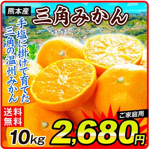 みかん 10kg 熊本産 極早生 三角みかん ご家庭用 三角 蜜柑 柑橘 フルーツ 果物 国華園 :f83188:食みらい・国華園 - 通販 -  Yahoo!ショッピング