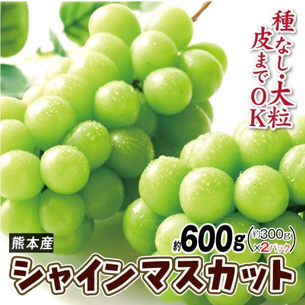 ❣️大特価❣️福岡or大分県産　シャインマスカット　約5キロ