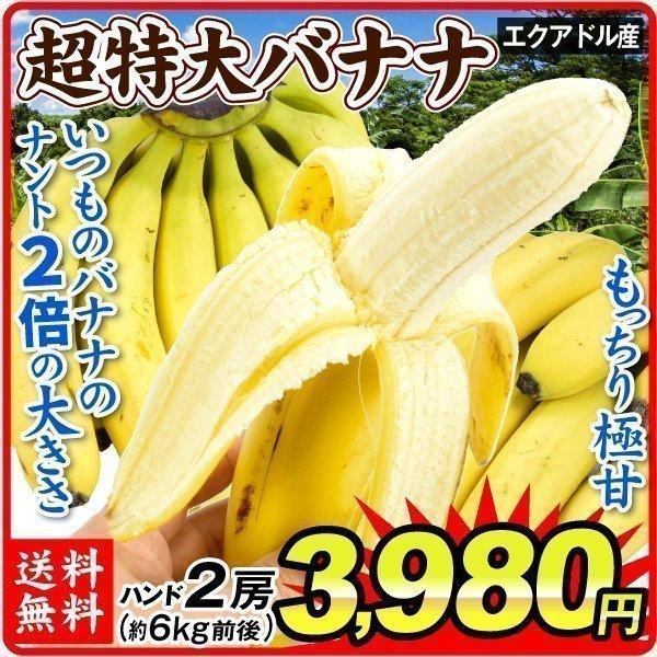 バナナ エクアドル産 2房 約6kg前後 ご家庭用 ハンドバナナ 送料無料 食品 フルーツ 果物 国華園 F7 食みらい 国華園 通販 Yahoo ショッピング
