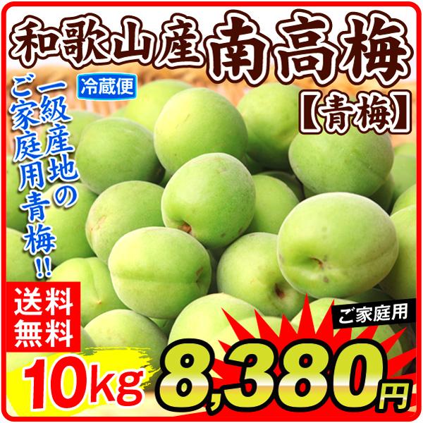 梅 10kg 南高梅【青梅】 和歌山産 ご家庭用 送料無料 冷蔵便 食品 