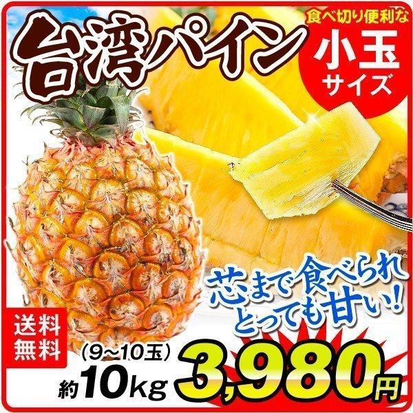 台湾パイン 約10kg 小玉サイズ 台湾産 パイナップル 9 10玉 送料無料 パイン 台農17号 金鑚 金鑚鳳梨 きんさん 国華園 6月上旬 発送 F765 食みらい 国華園 通販 Yahoo ショッピング
