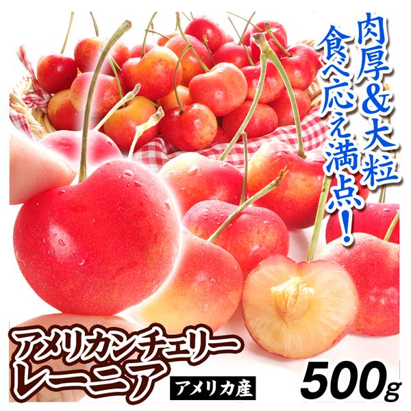さくらんぼ 500g アメリカンチェリー レーニア アメリカ産 桜桃
