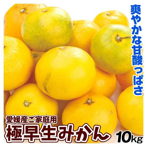 みかん 45個 Amazon | 三洋通商 食べきりサイズ みかん 缶 184g | 三洋通商