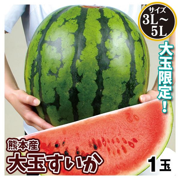 スイカ 1玉 大玉すいか 熊本産 送料無料 食品 : 食みらい・国