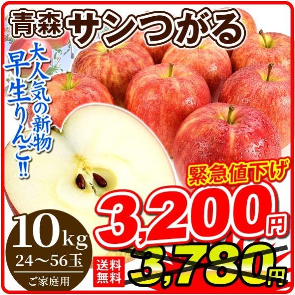 数量限定)りんご 新物 10kg 青森産 サンつがる(24〜56玉)津軽 送料無料 林檎 フルーツ 食品 国華園 :f84109:食みらい・国華園 - 通販 - Yahoo!ショッピング 数量限定)りんご 新物 10kg 青森産 サンつがる(24〜56玉)津軽 送料無料 林檎 フルーツ 食品 国華園 :f84109:食みらい・国華園 - 通販 - Yahoo!ショッピング