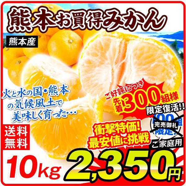 みかん 10kg 熊本産 お買得みかん ご家庭用 数量限定 送料無料 柑橘 食品 国華園 :f84488:食みらい・国華園 - 通販 - Yahoo!ショッピング みかん 10kg 熊本産 お買得みかん ご家庭用 数量限定 送料無料 柑橘 食品 国華園 :f84488:食みらい・国華園 - 通販 - Yahoo!ショッピング