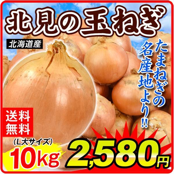 たまねぎ 10kg 北海道産 北見の玉ねぎ（L大） 数量限定 玉葱 送料無料