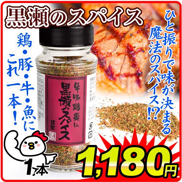スパイス 調味料 110g×1本 黒瀬のスパイス 黒瀬 スパイシー 塩