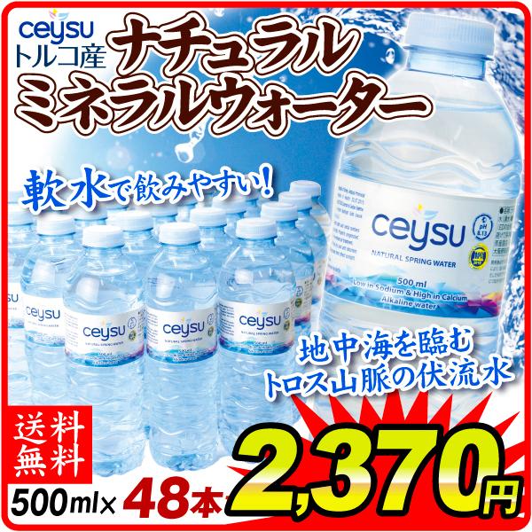 トルコ産 ナチュラルミネラルウォーター (500ml×48本) 送料無料 軟水