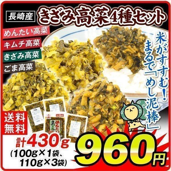 高菜 高菜4種セット 4種4袋 各1袋 キムチ高菜 100g 明太高菜 きざみ高菜 ごま高菜 110g たかな 漬物 大平食品 メール便 送料無料 F873 食みらい 国華園 通販 Yahoo ショッピング