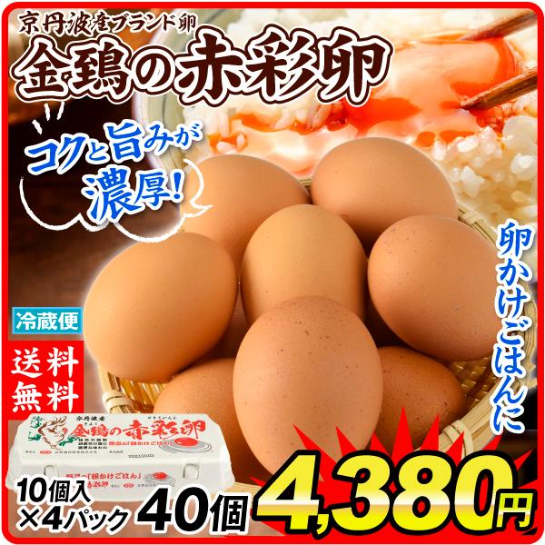 金鵄の赤彩卵 4パック(40個) 京丹波産 ブランド卵 きんしの 金鵄の赤彩卵 4パック(40個) 京丹波産 ブランド卵 きんしの