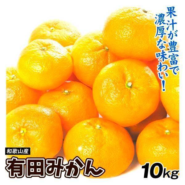 みかん 10kg 有田みかん 和歌山産 蜜柑 温州 ご家庭用 送料無料 みかん 10kg 有田みかん 和歌山産 蜜柑 温州 ご家庭用 送料無料