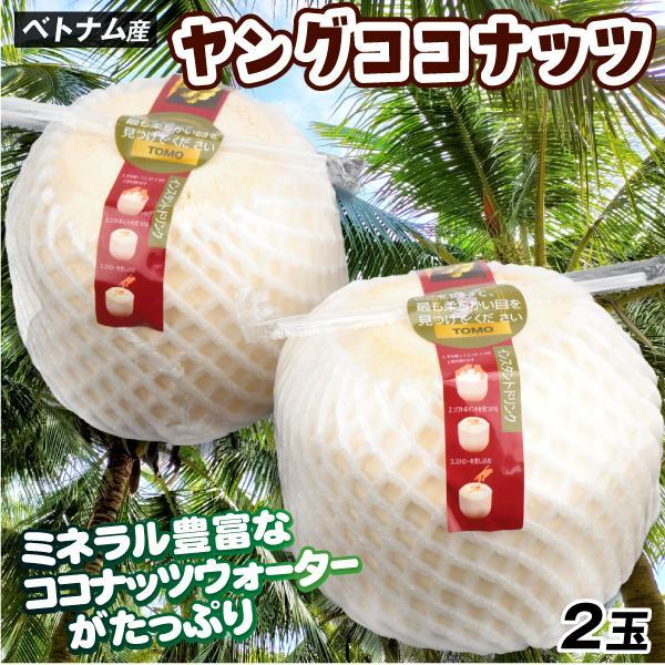 ココナッツ 2玉 ヤングココナッツ ベトナム産 南国 ヤシの実 ココナッツ 2玉 ヤングココナッツ ベトナム産 南国 ヤシの実