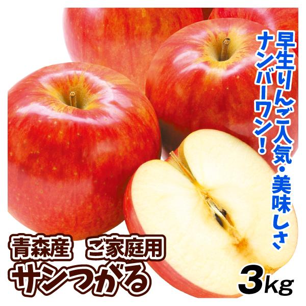 りんご 3kg ご家庭用 サンつがる 青森産 津軽 送料無料 林檎 フルーツ
