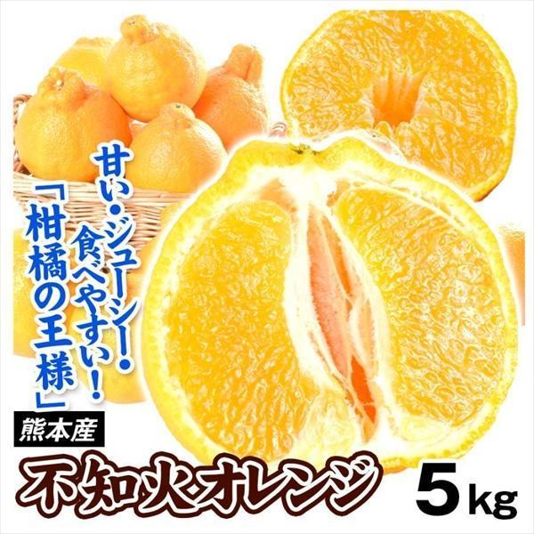 みかん 5kg 不知火オレンジ 熊本産 お買得 不知火 オレンジ デコ みかん 5kg 不知火オレンジ 熊本産 お買得 不知火 オレンジ デコ