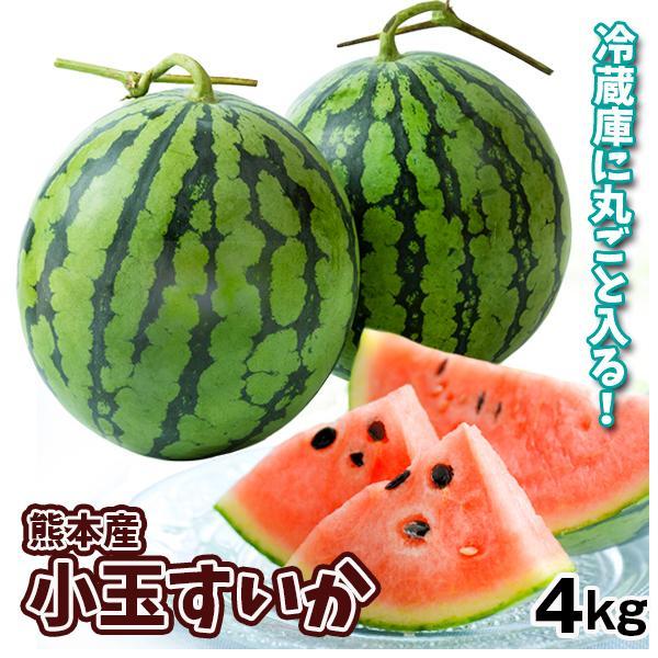 ●商品情報：日本一の名産地！熊本・植木町の甘味抜群シャリシャリすいか！盆地特有の寒暖差で磨かれ、歯触りと糖度の高さ、後味の良さが抜群！こちらは小玉ですが皮が薄く、皮際まで果肉がぎっしりで食べ応えあり！冷蔵庫にまるっと入るサイズなので、とって...