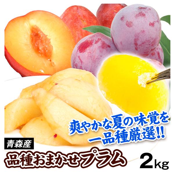 すもも 青森産 品種おまかせ プラム 2kg 冷蔵 送料無料 食品 : 食