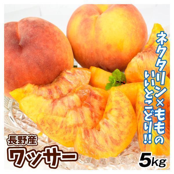 もも 5kg ワッサー 長野産 ご家庭用 桃 ピーチ 果物 フルーツ 送料無料