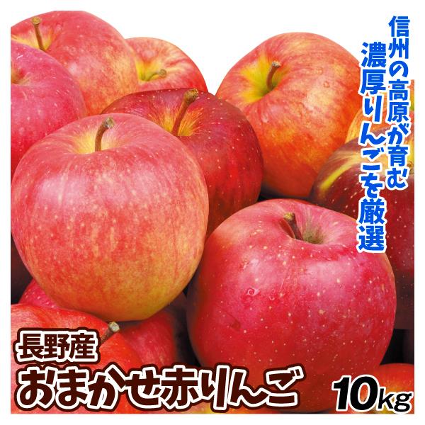 りんご 10kg おまかせ赤りんご 長野産 ご家庭用 送料無料 食品