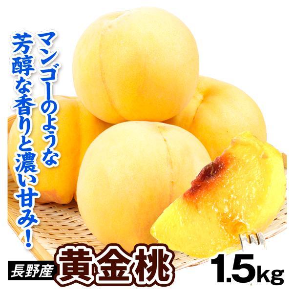 桃 長野産 黄金桃 1.5kg 1箱 黄桃 もも 産地直送 送料無料 食品 果物