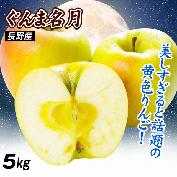 りんご 5kg ぐんま名月 長野産 ご家庭用 林檎 果物 送料無料 食品