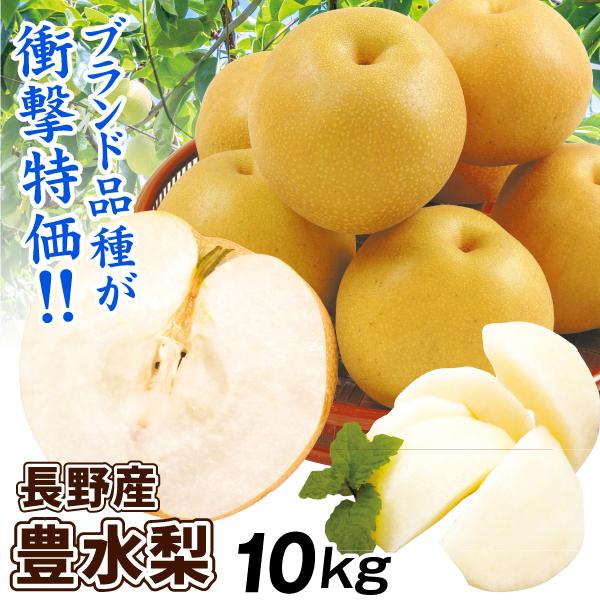 梨 10kg 豊水梨 長野産 ご家庭用 ナシ なし 和梨 名産地 送料