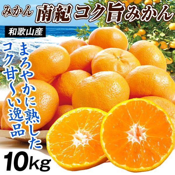 みかん 10kg 南紀コク旨みかん 和歌山産 ご家庭用 温州 ミカン 柑橘